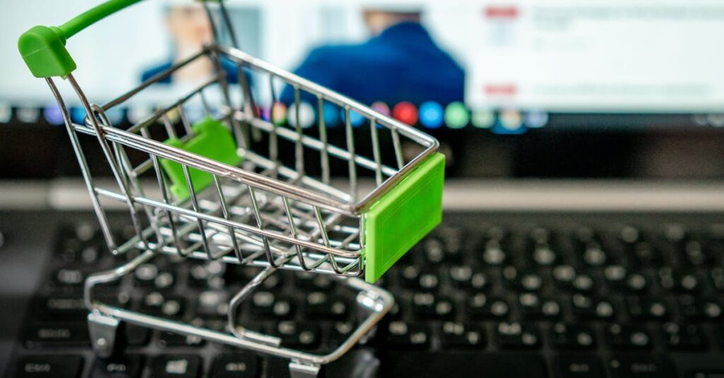 Berpyの商品をオンラインで購入するシーンを描いた、スマホで育児アイテムを選ぶママの画像。