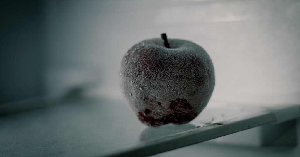 わんまいるのデメリットについて語るレビューイメージ