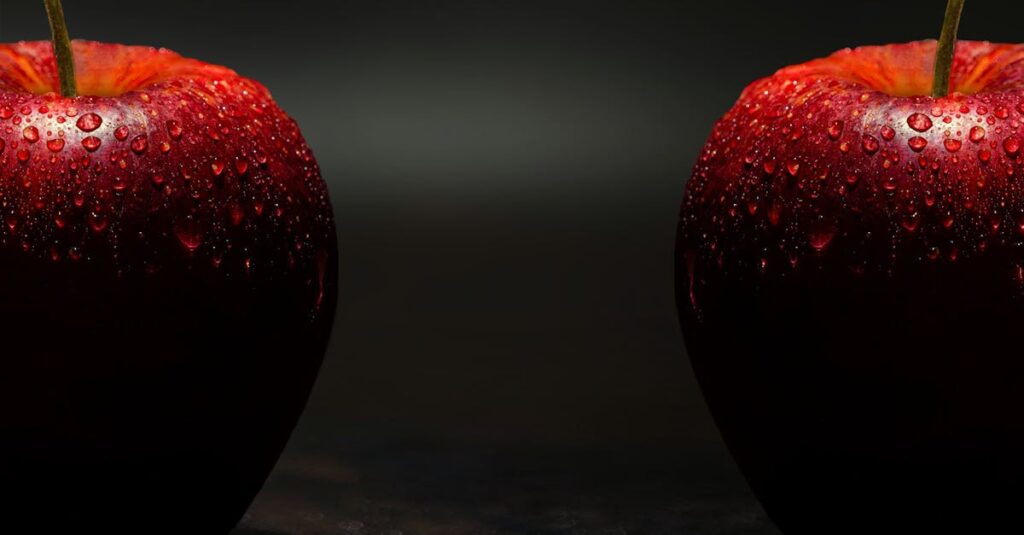 冷蔵と冷凍の宅配惣菜の違いを説明するイメージ