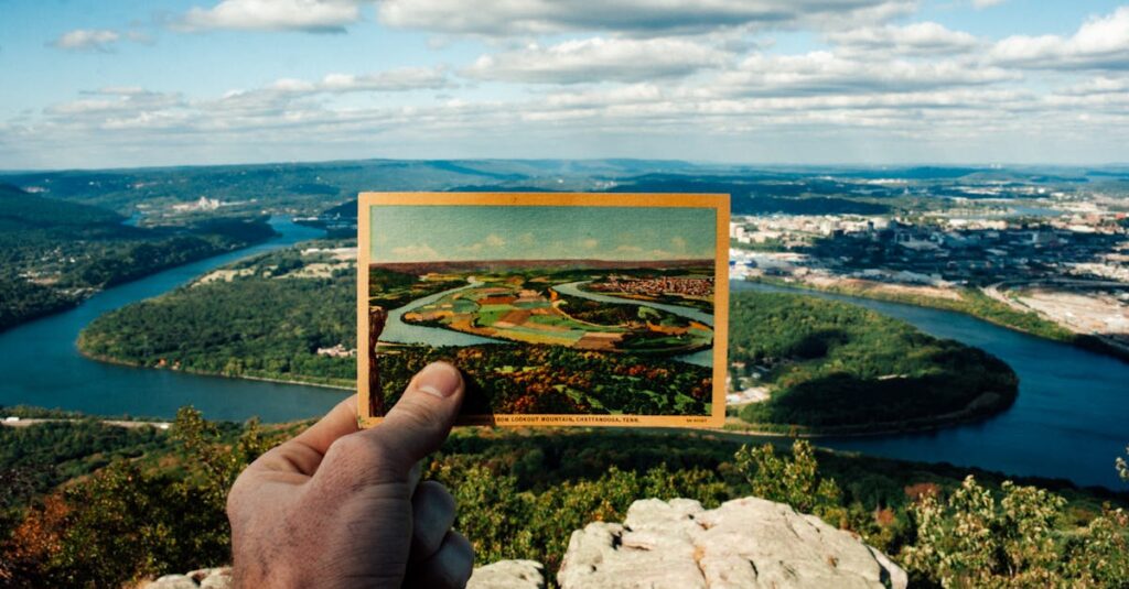わんまいるとヨシケイを比較する冷凍惣菜とミールキットの対比