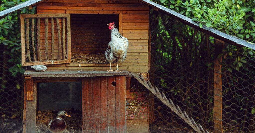 コープデリのお試しキャンペーンで選べる人気セットの例