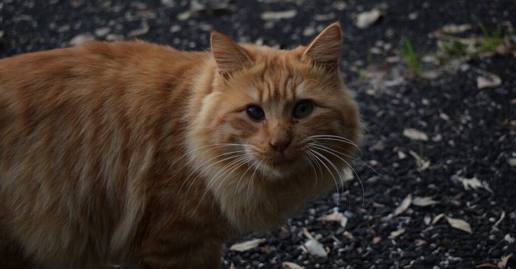 千葉県の教育に特化した家庭教師が個別カリキュラムで指導する様子