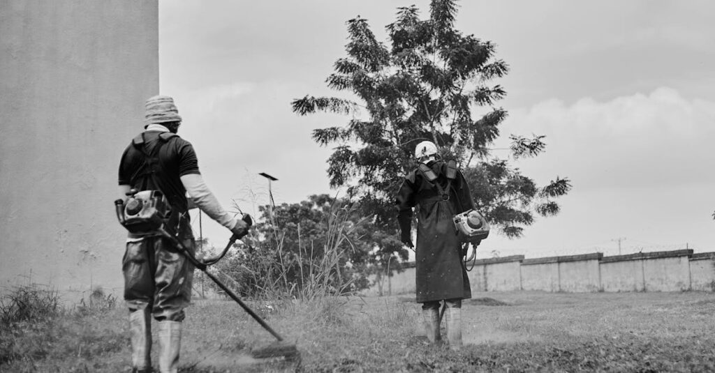 家事代行サービスの公式サイトを閲覧する様子。申し込みや詳細確認ができる場面。