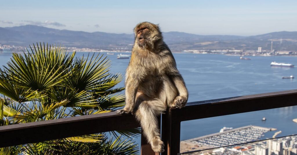 ABEMAプレミアムでダウンロードした番組をオフラインで視聴する様子