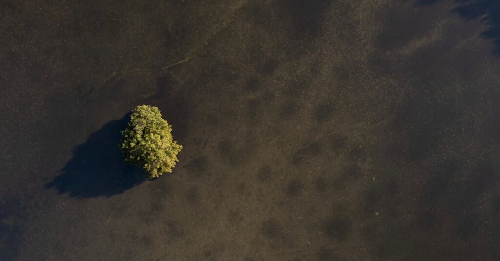 アロベビー ミルクローションの定期購入と単品購入の違いを比較した画像。割引や継続の条件が整理されている。