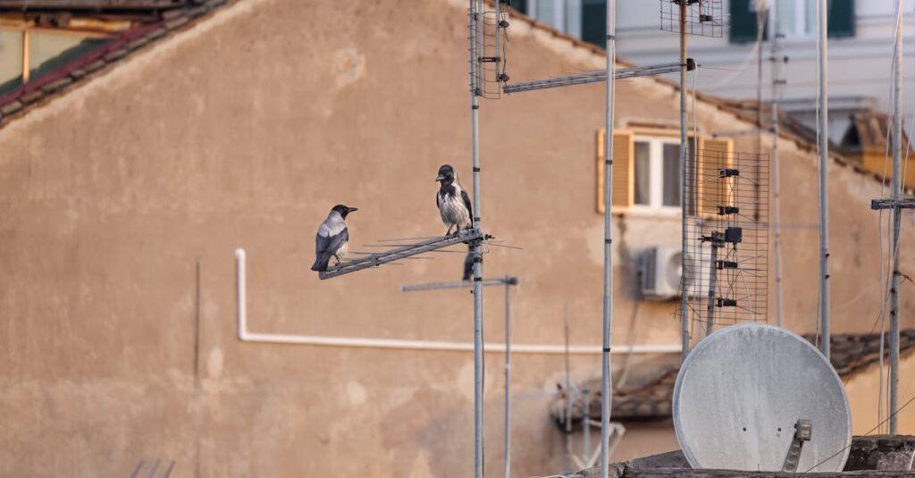 スカパーの視聴に必要なアンテナ設置とテレビ周辺機器の構成。