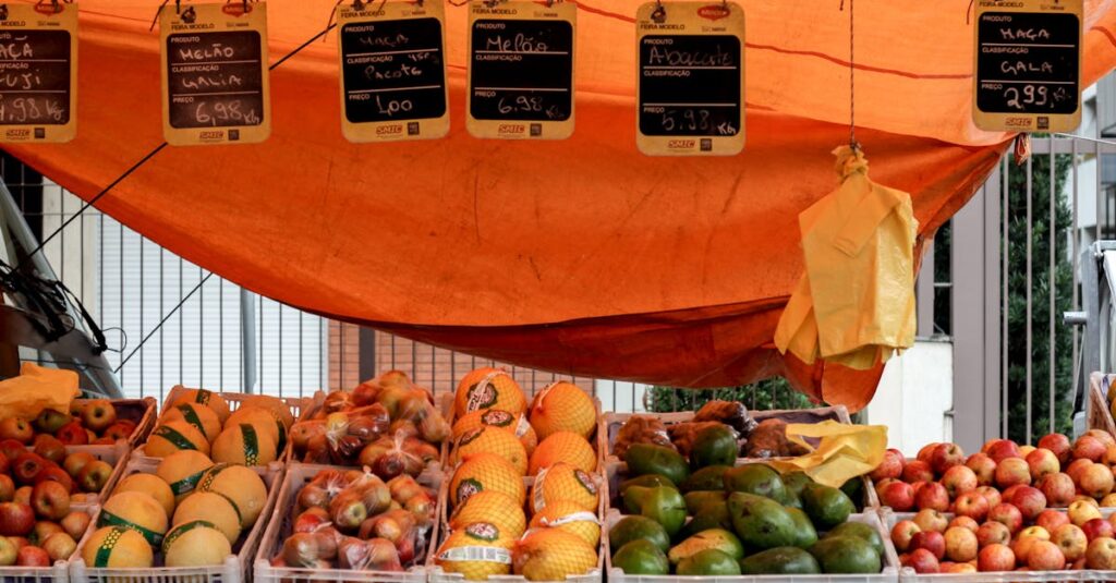 通常価格とおためし価格を比較している様子