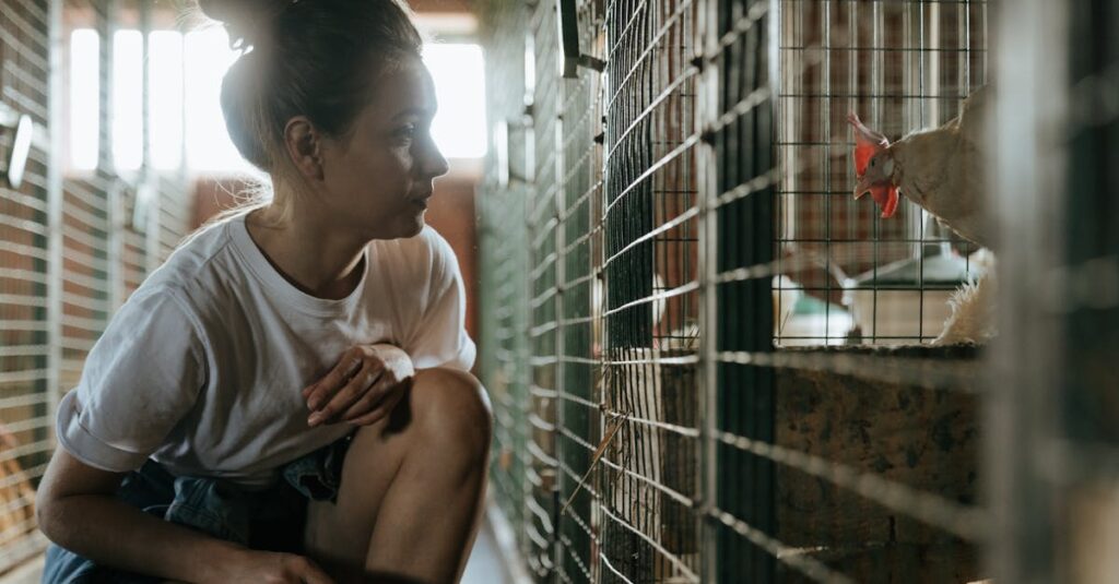 コープデリのお試しキャンペーンで選べる人気セットの例