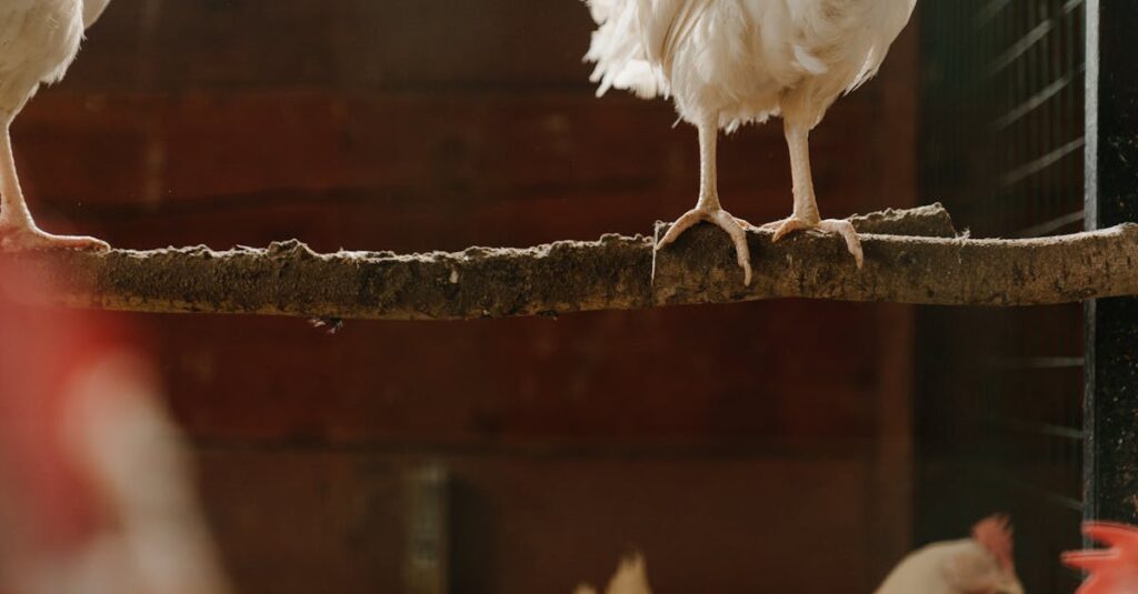 コープデリとパルシステムの特徴を表で比較している様子