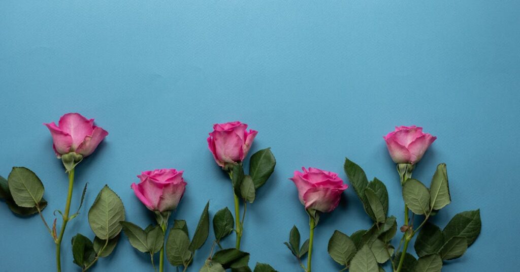 Berpyの商品セットの中身を比較して購入前にチェックしているママの画像。