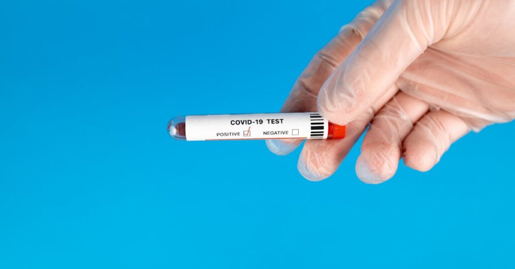 ディズニー英語システムの無料サンプルキットの内容物を並べた写真のイメージ画像