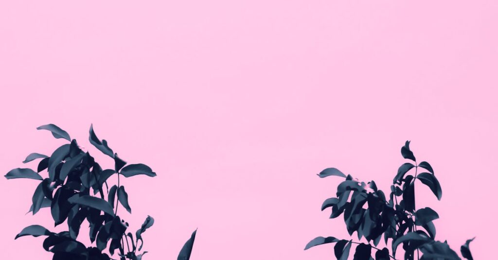 わんまいるとオイシックスを価格と品質で比較するイメージ