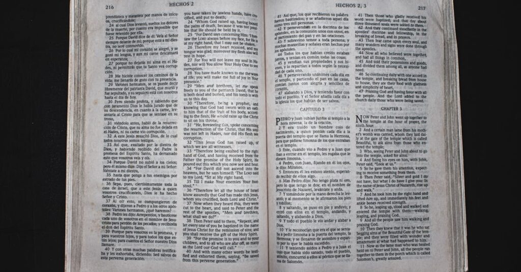 開封されたディズニー英語システム無料サンプルの実物写真のイメージ画像