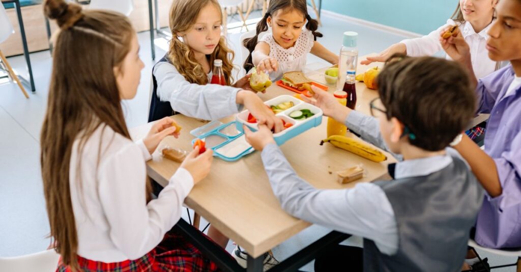 宅配食サービスとニーズが合わない家庭の例